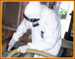 Mold Remediation